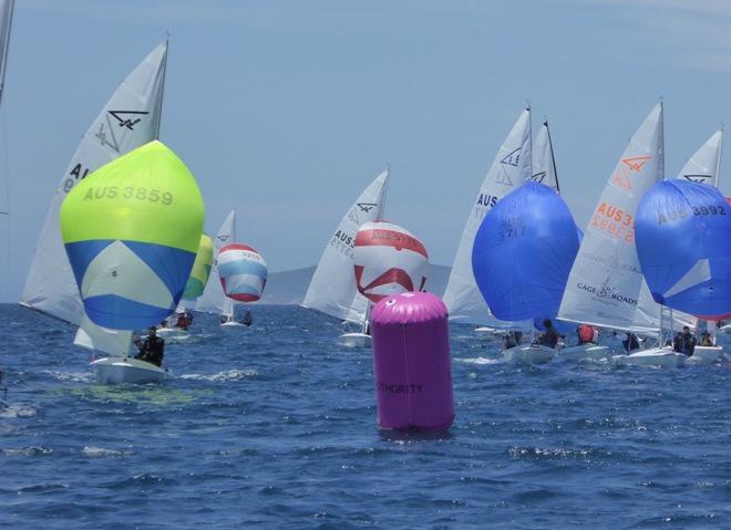 Day 2 – John Wilson and Matt Summers - Gemmill Homes Flying 15 Australian Championship © Jonny Fullerton